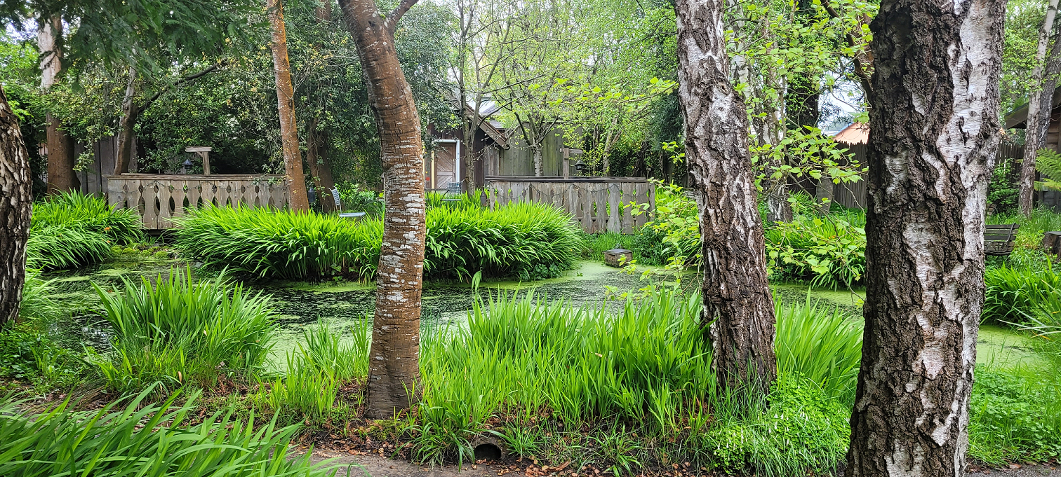 Rainy Day Blues in Arcata? Discover Cozy Indoor Activities!