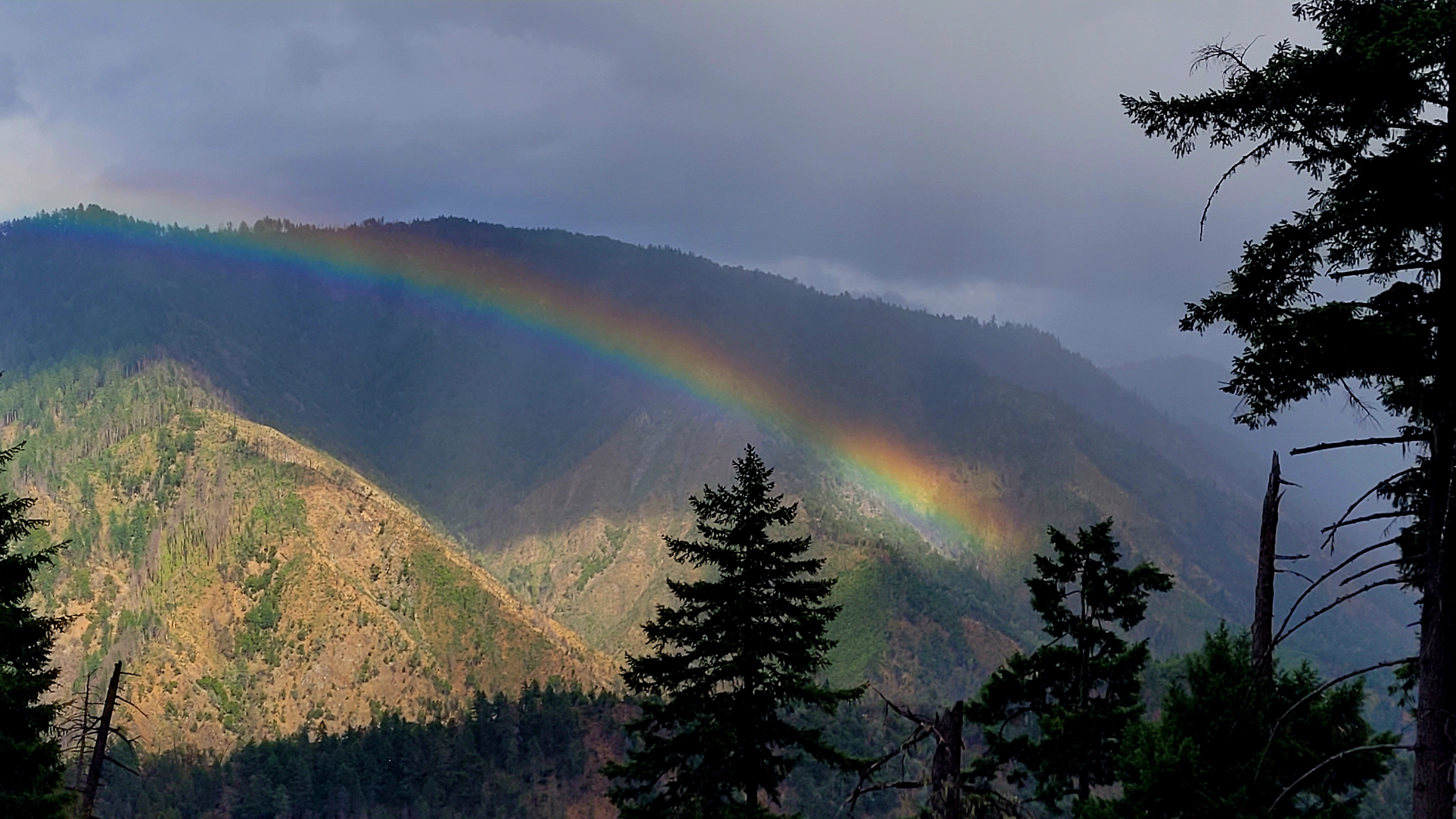 Willow Creek, CA: The Beating Heart of Bigfoot Country