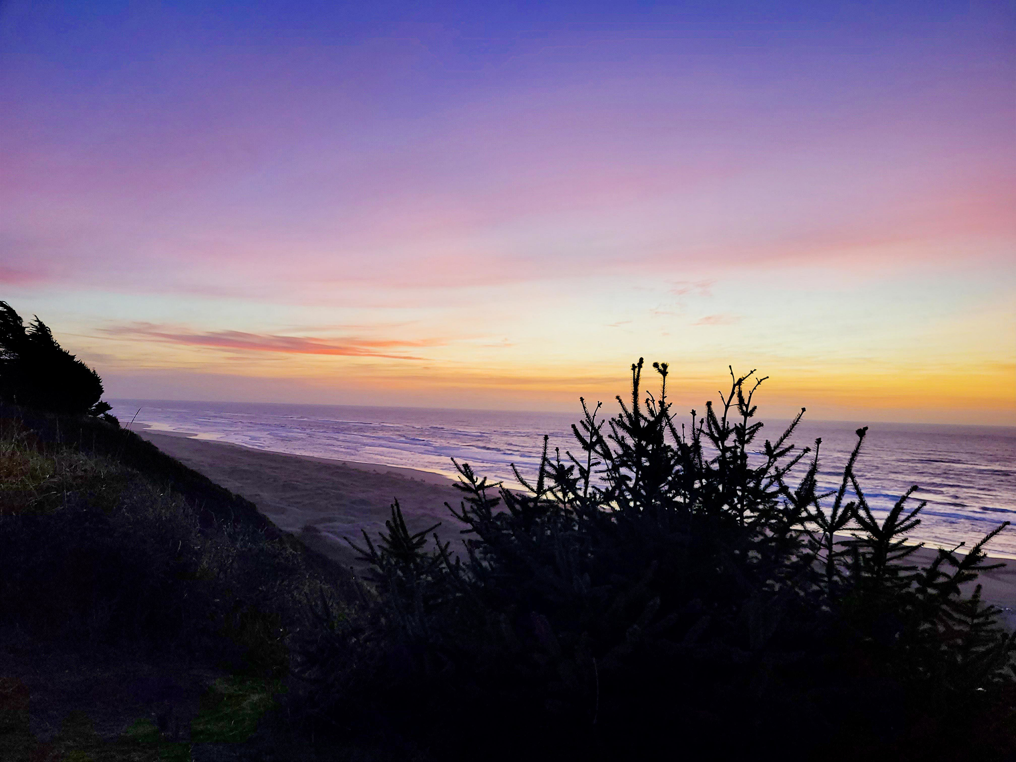 Why are Trinidad’s Winter Coastal Walks the Ultimate North Coast Adventure?