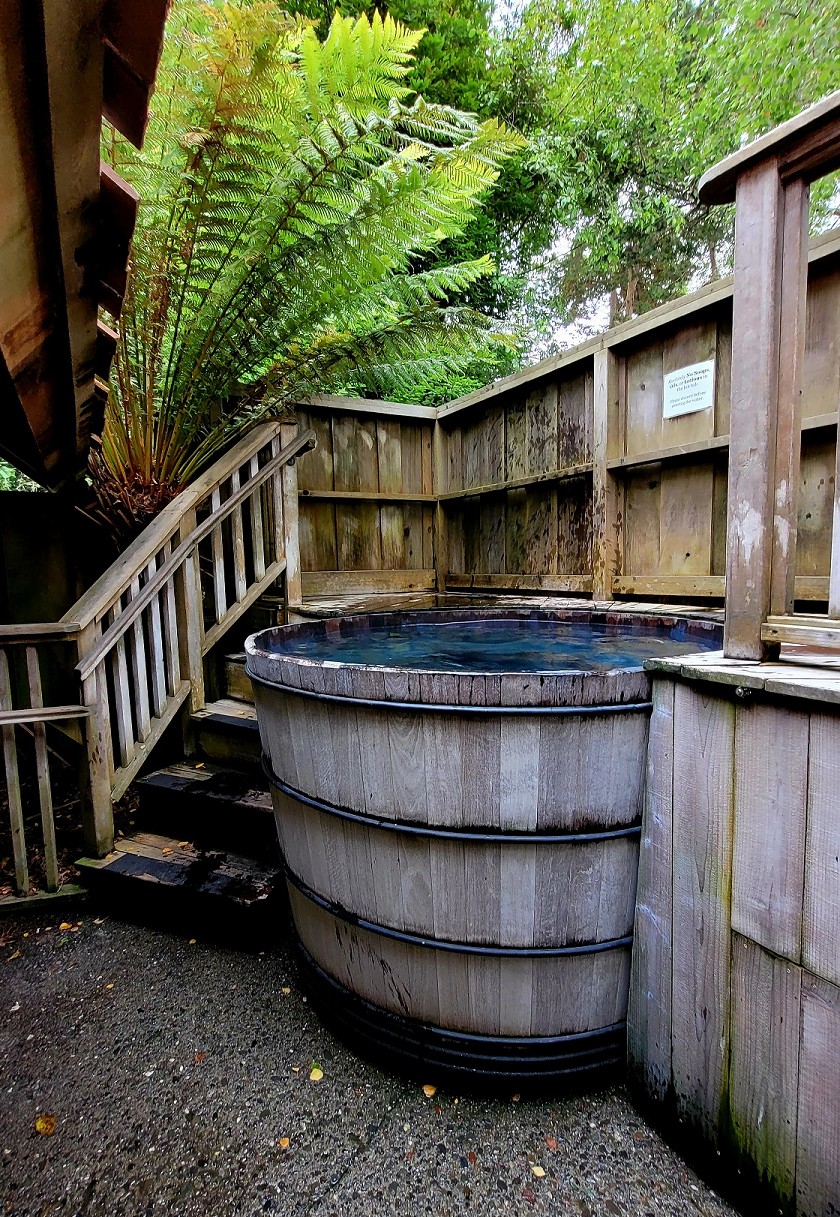 How Can You Beat the Winter Blues? The Ultimate Guide to Humboldt’s Holistic Wellness Retreats